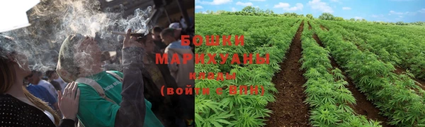 прущие крисы Ростов