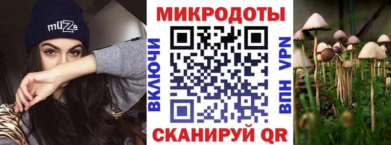 Псилоцибиновые грибы Cubensis закладки Конаково